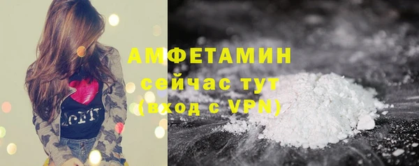 винт Аркадак