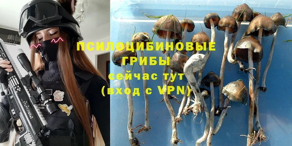 каннабис Алексеевка