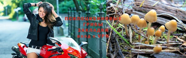 мескалин Арсеньев