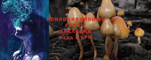 мескалин Арсеньев